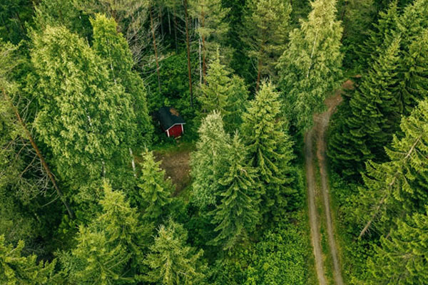 Drone Applications